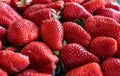 Strawberry fruit close up