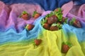 Strawberry fruit on colourful cloth background