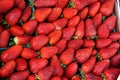 Strawberry Royalty Free Stock Photo