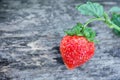 Strawberries in a glass bowl Royalty Free Stock Photo