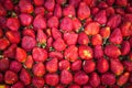 Strawberry fruit Royalty Free Stock Photo