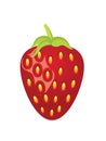 Strawberry fruit icon