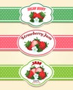 Strawberry fruit label set Royalty Free Stock Photo