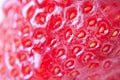 Strawberry Fruit Nutrition Food Macro, Strawberry texture, abstract background Royalty Free Stock Photo