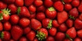 Strawberry red fruit fresh harvesting, fruity pattern background Royalty Free Stock Photo