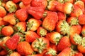 Strawberry fruits Royalty Free Stock Photo