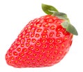 Strawberry fruits