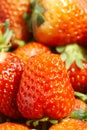 Strawberry fruits