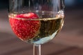 Strawberry in a glass sparkling wine close up