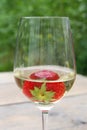 Strawberry in a glass of biological white wine Royalty Free Stock Photo