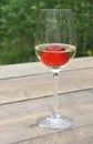 Strawberry in a glass of white wine for celebrations Royalty Free Stock Photo