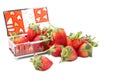 Strawberry in the glassbox Royalty Free Stock Photo