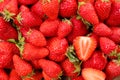 Strawberry Royalty Free Stock Photo
