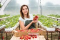 Strawberry growers with harvest,Agricultural engineer working in