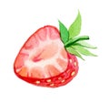 Strawberry half isolated on white background, watercolor Royalty Free Stock Photo