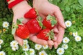 Strawberry in hand