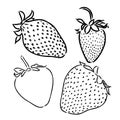 Strawberry hand drawn engraving isolated vector illustration. Pair garden fresh berries sketch. Organic healthy food