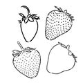 Strawberry hand drawn engraving isolated vector illustration. Pair garden fresh berries sketch. Organic healthy food