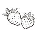 Strawberry hand drawn engraving isolated vector illustration