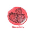 Hand drawn illustration with strawberry. Vintage watercolor background.
