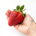 Strawberry in hand isolated on transparent background Royalty Free Stock Photo