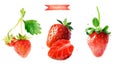 Strawberry hand-painted watercolor illustration set, whole berries and cut Royalty Free Stock Photo