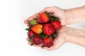 Strawberry in hand on a white background isolate