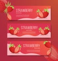 Strawberry healthy fruits for template banner banners horizontal variations option realistic with flat color style vector