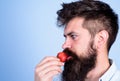 Strawberry healthy snack. Man handsome hipster with long beard eating strawberry. Berries season concept. Hipster enjoy