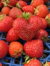 Strawberry heart Royalty Free Stock Photo