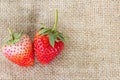 Strawberry on hemp sack Royalty Free Stock Photo