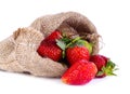 Strawberry in Hemp sack isolated on white background Royalty Free Stock Photo