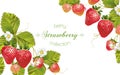 Strawberry horizontal banner