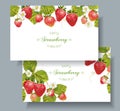 Strawberry horizontal banner