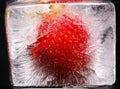 Strawberry in Icecube