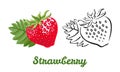 Strawberry icon set isolated on white background. Color illustration of red berry and a black and white contour image. Royalty Free Stock Photo