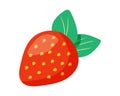 Strawberry illustration. Red berry with seeds and leaves. Harvesting from the garden. Single whole berry. Healthy food.