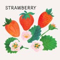 Strawberry illustration vector set with watercolor texture and line art. Hand drawn fully isolated modern colorful design elements Royalty Free Stock Photo