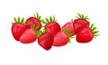 Strawberry. Image of ripe red strawberries. Sweet strawberry berries. Summer berries. Vector illustration isolated on a Royalty Free Stock Photo