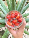 Strawberry infuse water Royalty Free Stock Photo