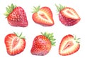 Strawberry isolated collection Royalty Free Stock Photo