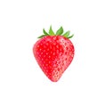 Strawberry. Isolated. 3D. Vector in EPS10