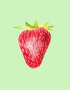 Strawberry isolated on green background. Red berry closeup. Fresh organic food. Watercolor painting. Botanical realistic