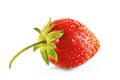 Strawberry isolated macro Royalty Free Stock Photo