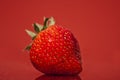 Strawberry Isolated on Red Background