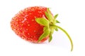 One red strawberry isolated on