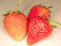 Strawberry isolated on white background