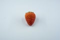 A Strawberry isolated on white background, close up.