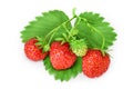 Strawberry isolated on white background. Fresh berry with clipping path and full depth of field. Top view. Flat lay Royalty Free Stock Photo
