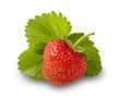 Strawberry Isolated on White Background